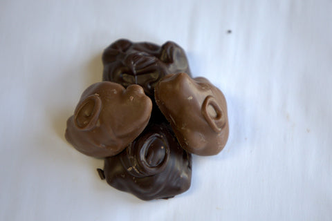 Turtles
