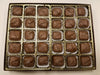 Sea Salt Caramels Gift Box