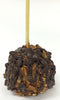 Pecan Turtle Caramel Apple