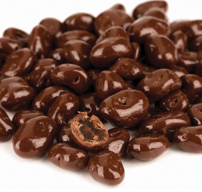 No Sugar Added Milk Chocolate Raisins – Fun Factory Sweet Shoppe